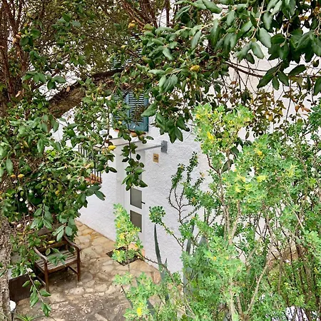 Casa Aries - Kerstin Bruns Ferienhaus Tossa de Mar